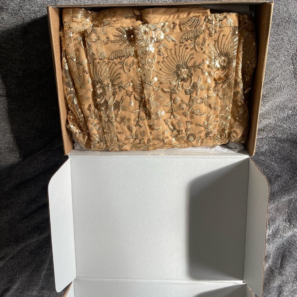 Champagne Soiree Lehenga Skirt from The Saree Room